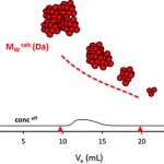 使用 BI-MwA 進行多角度靜態(tài)光散射檢測-美國布魯克海文儀器公司（Brookhaven）