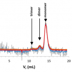 chromatograms of BSA using light scattering