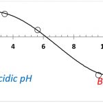 布魯克海文儀器公司自動(dòng)滴定儀 BI-ZTU 用于 pH 值對(duì) Zeta 電位的影響-美國(guó)布魯克海文儀器公司（Brookhaven）