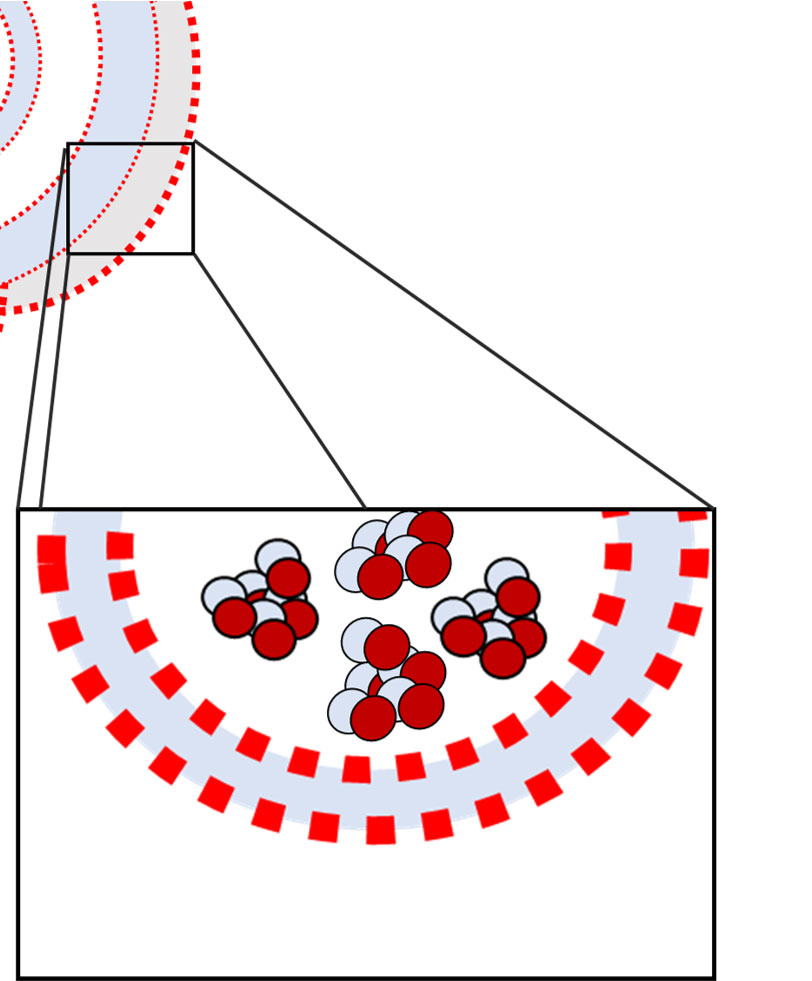 phase behavior of lamellae
